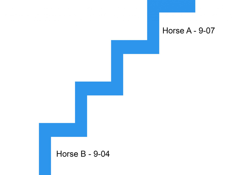 What Does Well-Handicapped really mean? Betting/Racing Education