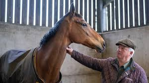 EXCLUSIVE: Trainer Form is LAZY: 4 case studies and one bat-crazy trainer