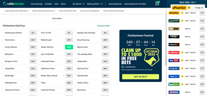 33/1 This is the best Cheltenham Ante-post bet for 2026, bar none!