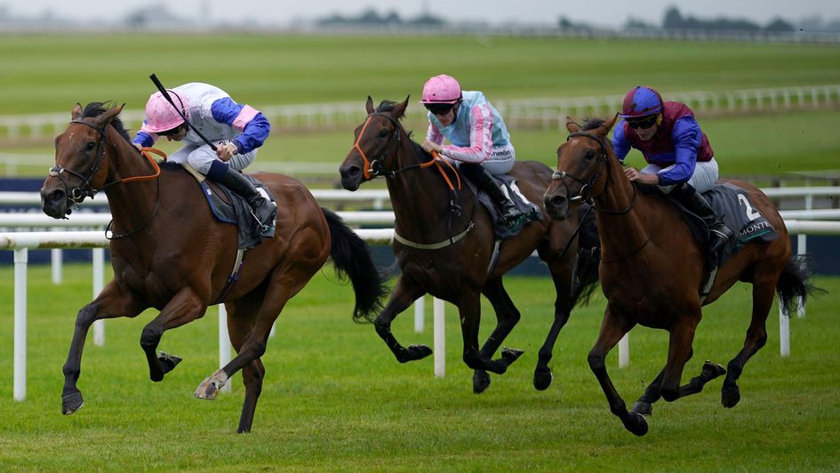Ralph Beckett Stable Tour via Sporting Life:
