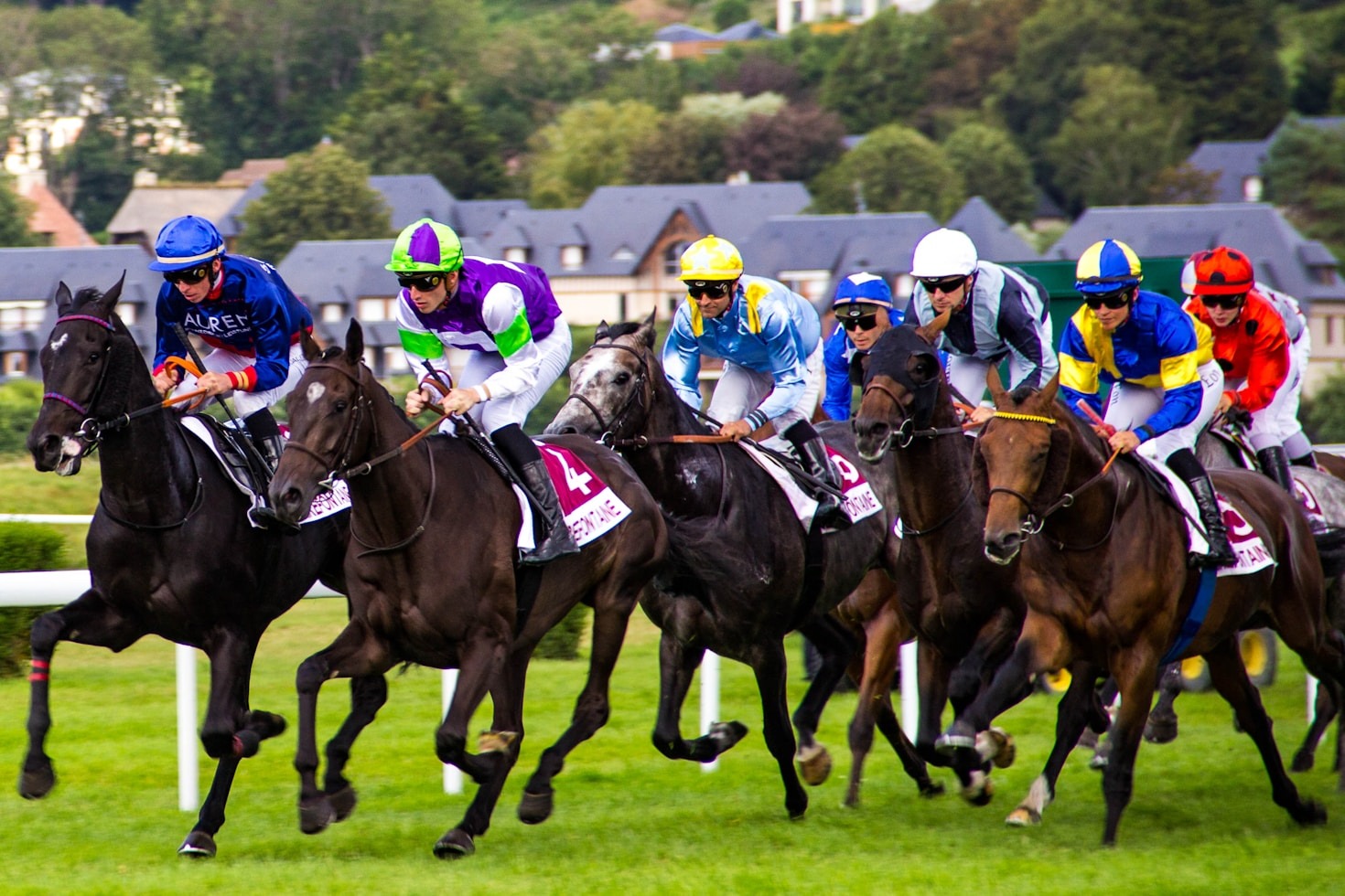 Understanding the Art of Horse Racing Betting