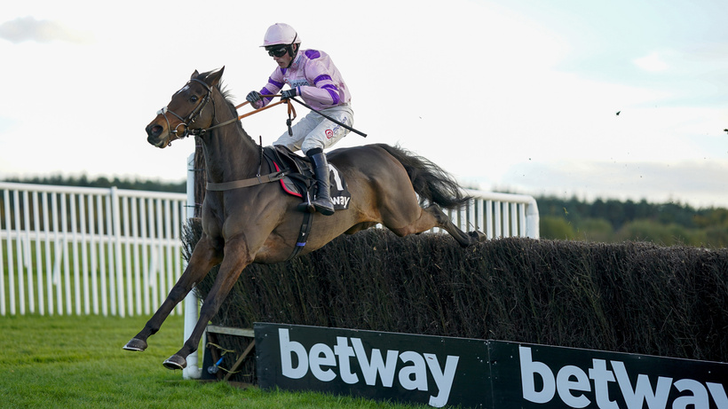 Kempton King George Stats & Trends