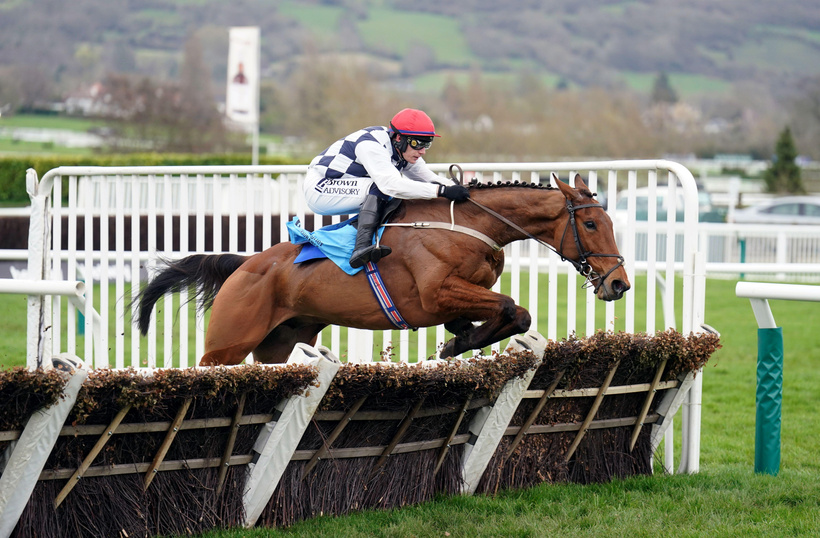 Dublin Racing Festival Stats, trends and Cheltenham links
